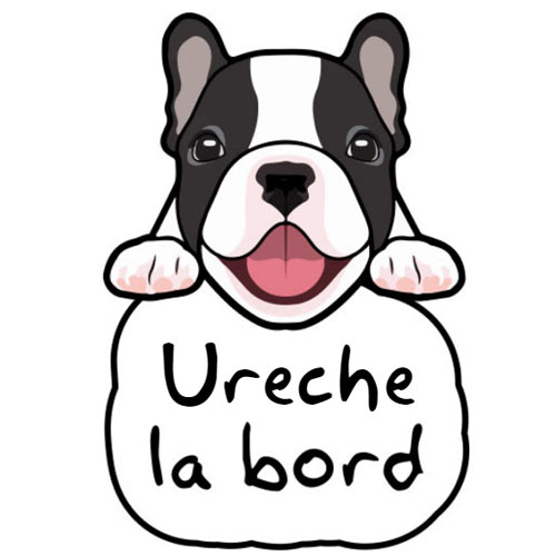 Autocolant Bulldog francez la bord (personalizat)