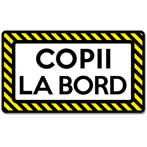 Autocolant auto Copii la bord