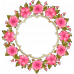Cana Coronita de flori (initiala)
