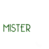 Panglica Mister - cu textul dvs