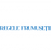 Panglica Regele Frumusetii