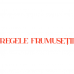 Panglica Regele Frumusetii