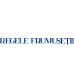 Panglica Regele Frumusetii