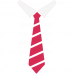 Tricou cu cravata 