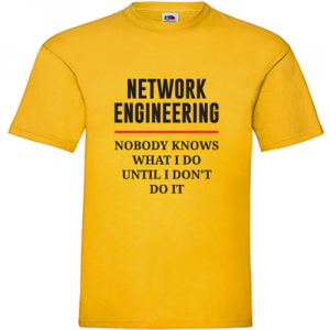 Network engineering