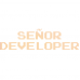 Senor developer